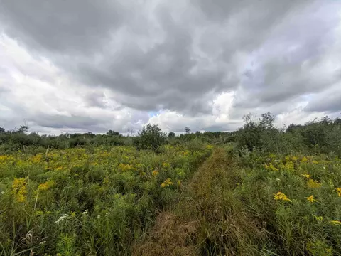 Other - 7541 E Bevens Rd, Kingston, MI 48741 photo 14 of 17