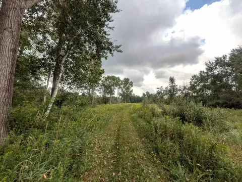 Other - 7541 E Bevens Rd, Kingston, MI 48741 photo 6 of 17