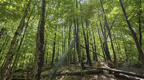 Other - 41 Camp Madron Rd, Buchanan, MI 49107 photo 3 of 4