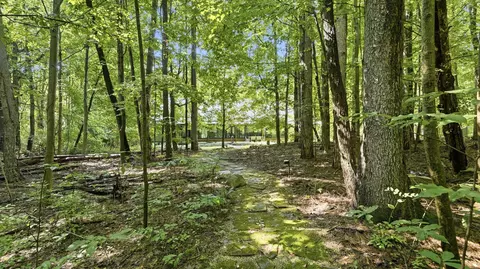 Exterior - 41 Camp Madron Rd, Buchanan, MI 49107 photo 12 of 15
