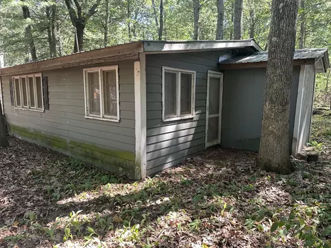 9655 S Beechnut Ave, Baldwin, MI 49304 photo 4