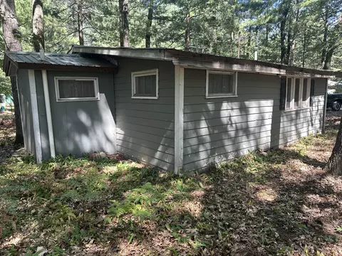 9655 S Beechnut Ave, Baldwin, MI 49304 photo 3