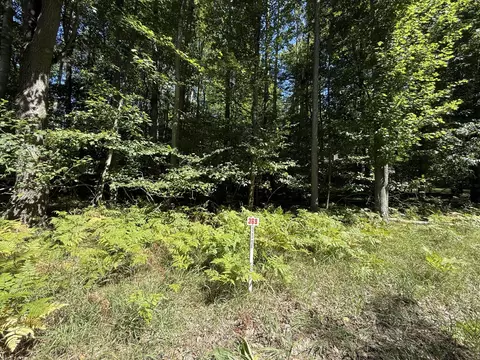 12100 Belle Isle Dr #369, Stanwood, MI 49346