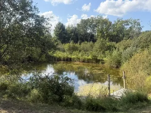 View/Area - 2029 E 6 Mile Rd, White Cloud, MI 49349 photo 1 of 2