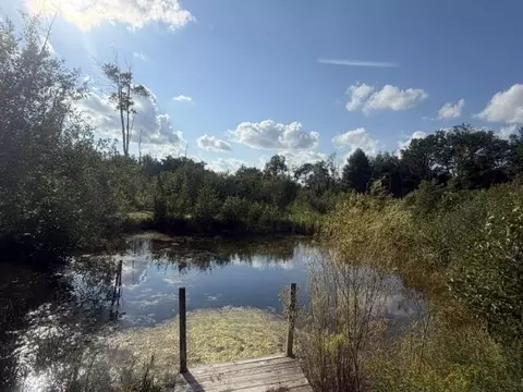 View/Area - 2029 E 6 Mile Rd, White Cloud, MI 49349 photo 2 of 2