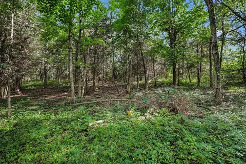 Other - V/l E Riverside Dr, Lyons, MI 48851 photo 6 of 7