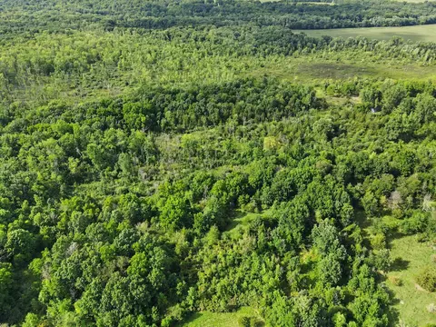 View/Area - V/l E Riverside Dr, Lyons, MI 48851 photo 4 of 5