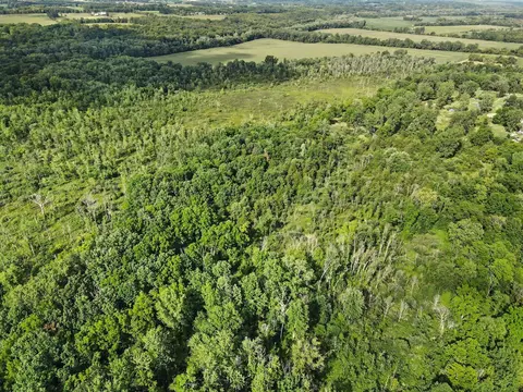 View/Area - V/l E Riverside Dr, Lyons, MI 48851 photo 3 of 5