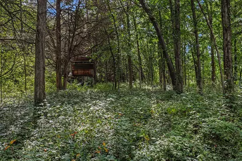 Other - V/l E Riverside Dr, Lyons, MI 48851 photo 5 of 7