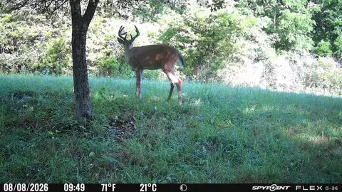 Other - V/l E Riverside Dr, Lyons, MI 48851 photo 4 of 7