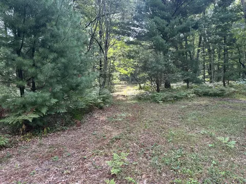 Exterior - Beaver Road, Bitely, MI 49309 photo 1 of 7