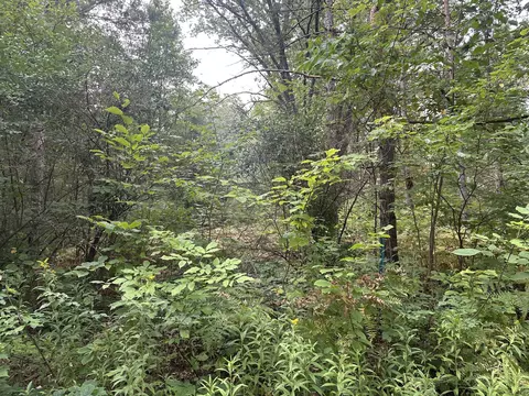 Other - Beaver Road, Bitely, MI 49309 photo 3 of 5