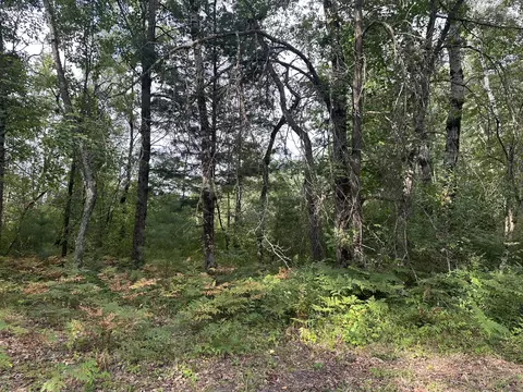 Exterior - Beaver Road, Bitely, MI 49309 photo 6 of 7