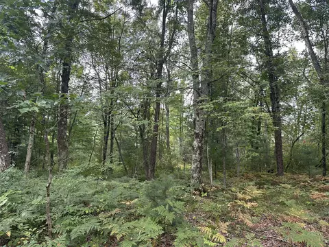 Exterior - Beaver Road, Bitely, MI 49309 photo 7 of 7