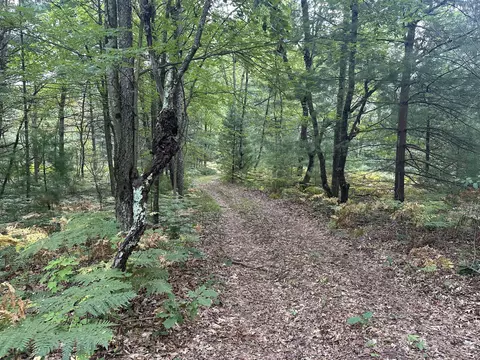 Exterior - Beaver Road, Bitely, MI 49309 photo 5 of 7