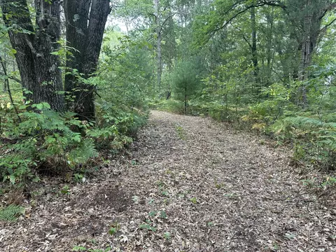 Exterior - Beaver Road, Bitely, MI 49309 photo 4 of 7