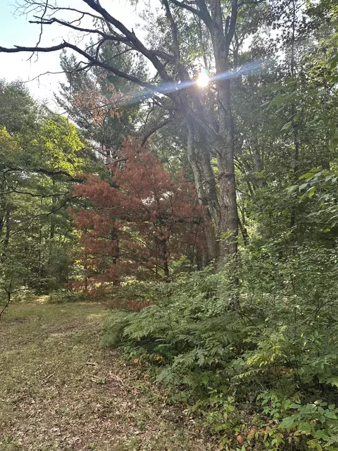 Other - Beaver Road, Bitely, MI 49309 photo 4 of 5