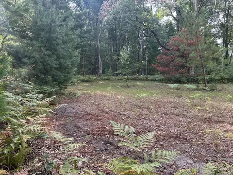 Exterior - Beaver Road, Bitely, MI 49309 photo 2 of 7
