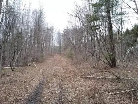 Other - 000 Bryce Rd, Clyde, MI 48049 photo 8 of 12