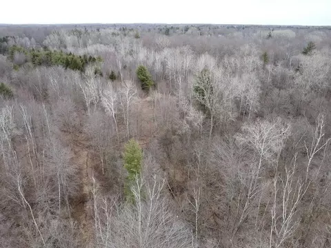 View/Area - 000 Bryce Rd, Clyde, MI 48049 photo 4 of 4