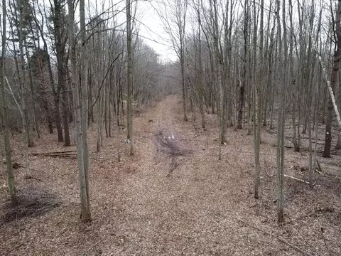 Other - 000 Bryce Rd, Clyde, MI 48049 photo 2 of 12