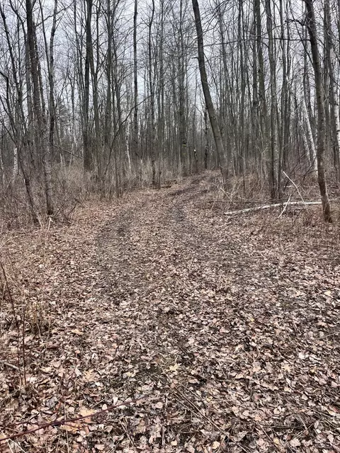 Other - 000 Bryce Rd, Clyde, MI 48049 photo 12 of 12