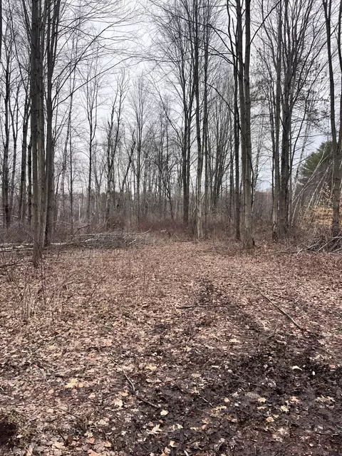 Exterior - 000 Bryce Rd, Clyde, MI 48049 photo 3 of 5