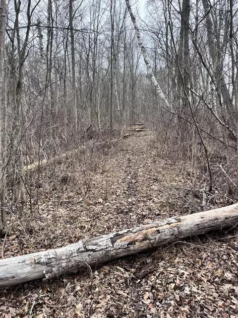 Other - 000 Bryce Rd, Clyde, MI 48049 photo 11 of 12