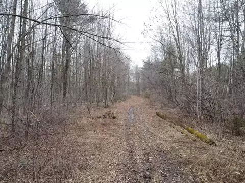 Other - 000 Bryce Rd, Clyde, MI 48049 photo 7 of 12