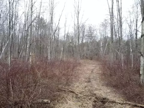 Exterior - 000 Bryce Rd, Clyde, MI 48049 photo 1 of 5