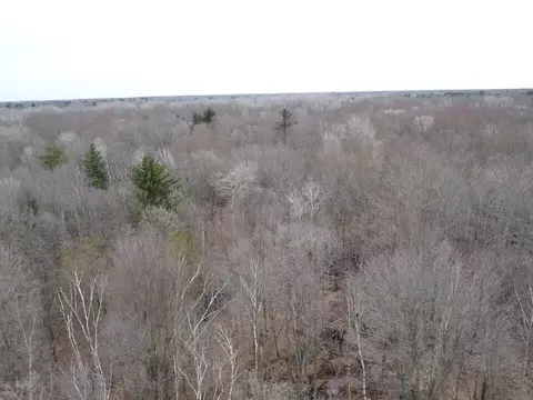 View/Area - 000 Bryce Rd, Clyde, MI 48049 photo 2 of 4