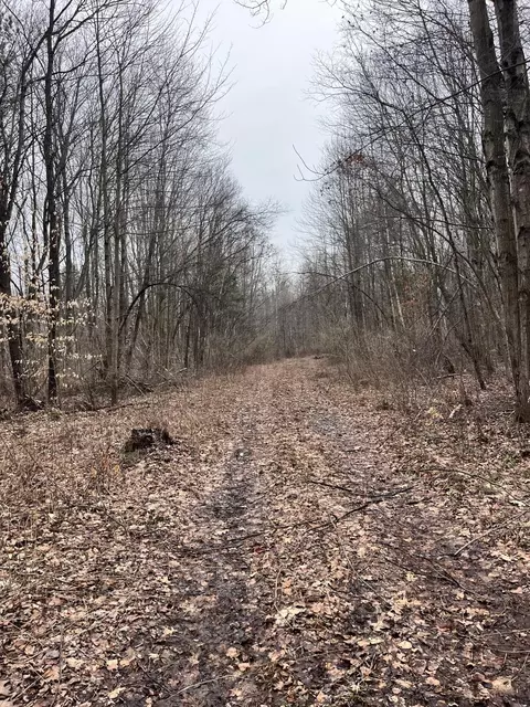 Other - 000 Bryce Rd, Clyde, MI 48049 photo 3 of 12