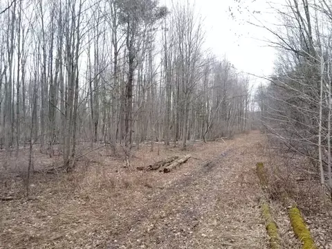 Other - 000 Bryce Rd, Clyde, MI 48049 photo 6 of 12