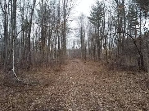 Other - 000 Bryce Rd, Clyde, MI 48049 photo 9 of 12