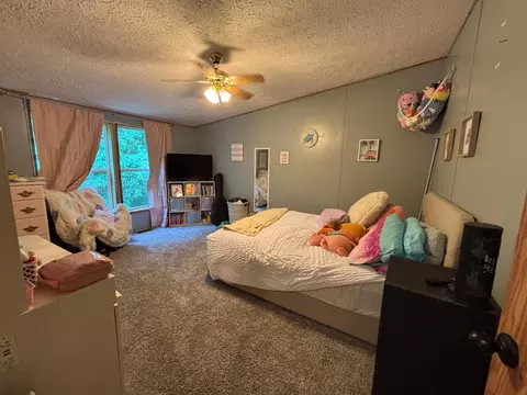 Bedroom - 2905 E Jackson Rd, Walkerville, MI 49459 photo 6 of 8