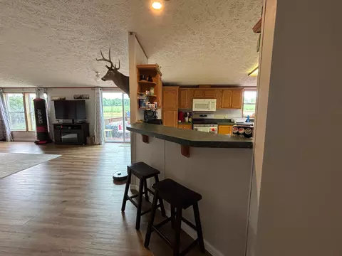Kitchen - 2905 E Jackson Rd, Walkerville, MI 49459 photo 5 of 6