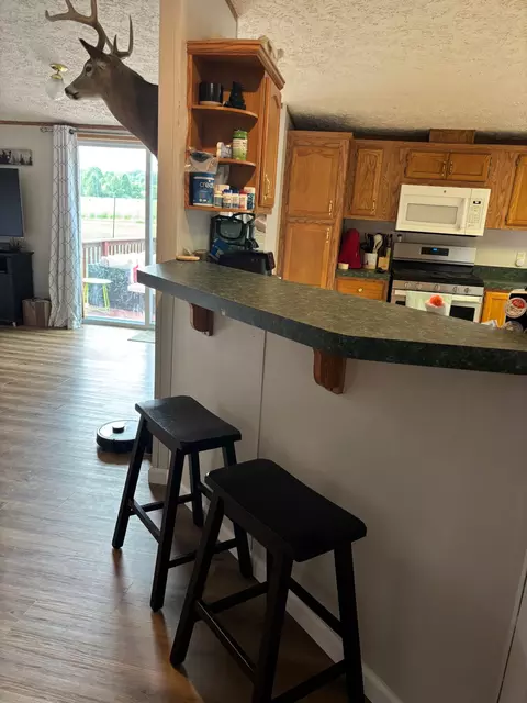 Kitchen - 2905 E Jackson Rd, Walkerville, MI 49459 photo 4 of 6