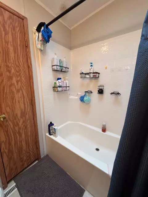 Bath - 2905 E Jackson Rd, Walkerville, MI 49459 photo 8 of 8
