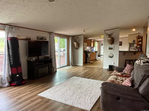 Living - 2905 E Jackson Rd, Walkerville, MI 49459 photo 4 of 6