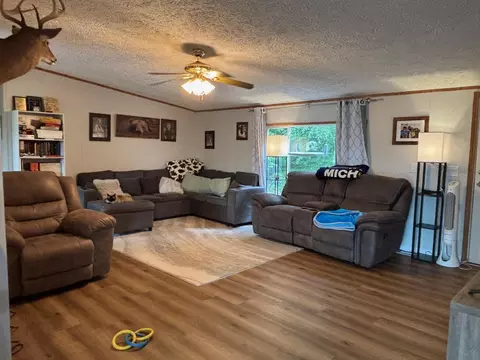 Living - 2905 E Jackson Rd, Walkerville, MI 49459 photo 1 of 6