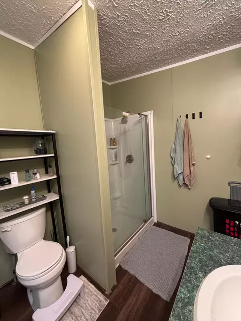 Bath - 2905 E Jackson Rd, Walkerville, MI 49459 photo 5 of 8