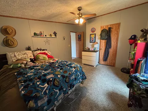 Bedroom - 2905 E Jackson Rd, Walkerville, MI 49459 photo 4 of 8