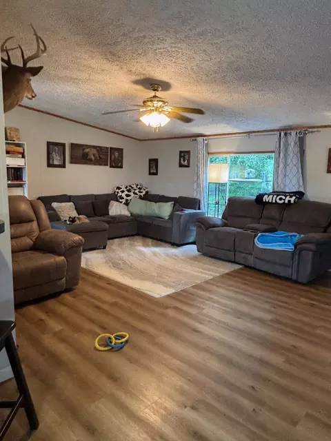 Living - 2905 E Jackson Rd, Walkerville, MI 49459 photo 2 of 6