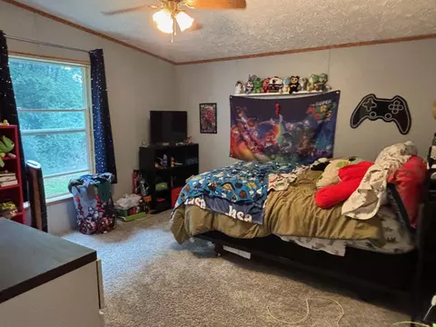 Bedroom - 2905 E Jackson Rd, Walkerville, MI 49459 photo 3 of 8