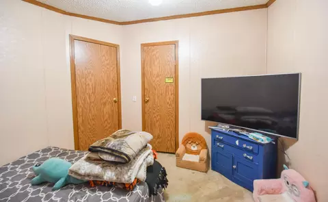 Bedroom - 1085 Wolf Rd, Reading, MI 49274 photo 4 of 7