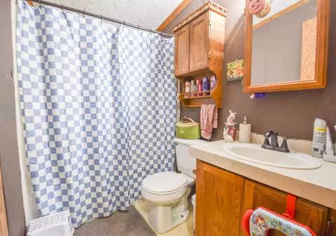 Bath - 1085 Wolf Rd, Reading, MI 49274 photo 1 of 3