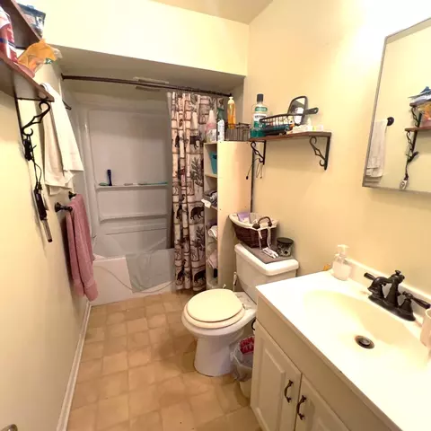 Bath - 407 Barry St, Colon, MI 49040 photo 1 of 3