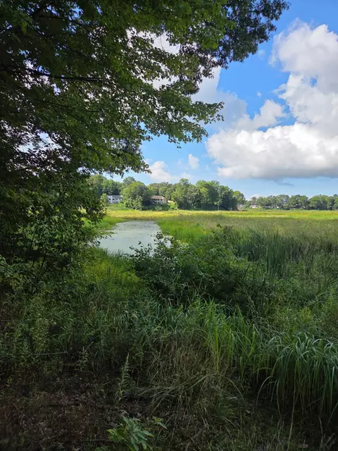 6695 S Brooks Rd, Fruitport, MI 49415