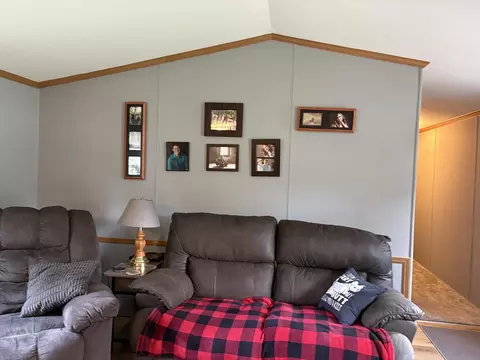 Living - 1455 Eldon Ct, Gladwin, MI 48624 photo 6 of 8