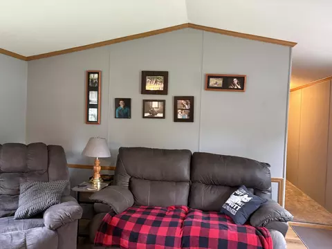 Living - 1455 Eldon Ct, Gladwin, MI 48624 photo 3 of 8